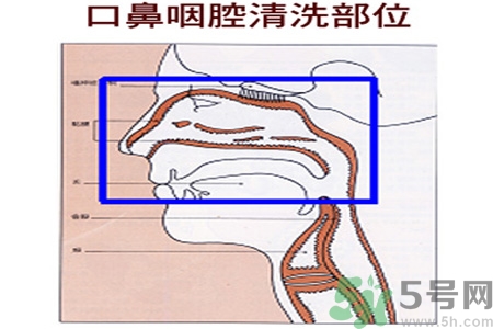 鼻炎能用生理鹽水清理鼻腔嗎？鼻炎能不能用生理鹽水清理鼻腔？