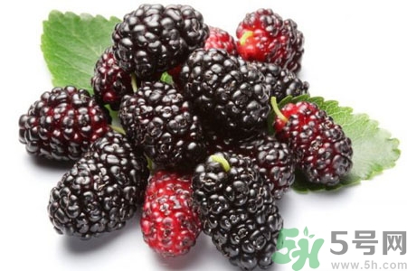 桑葚怎么洗？桑葚怎么保存？