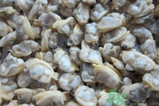 花蛤的營養(yǎng)價值有哪些？生取蛤肉的方法是什么？