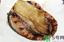 鮑魚(yú)如何挑選？鮑魚(yú)如何保存？