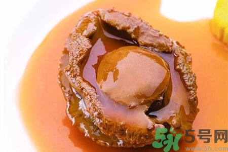 鮑魚(yú)如何挑選？鮑魚(yú)如何保存？