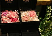 野獸派的花多少錢？野獸派的花哪里買？