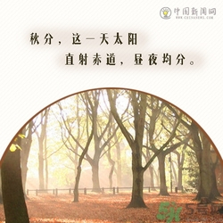立秋是秋分嗎？立秋和秋分的區(qū)別？