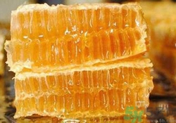 蜂膠是什么東西？蜂膠可以長期服用嗎？