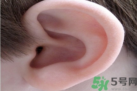 耳朵癢是怎么回事？耳朵癢怎么辦？