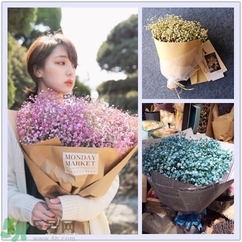 七夕送女朋友什么花？七夕送女朋友花送幾朵？