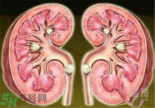 慢性腎炎能治好嗎？慢性腎炎能活多久？