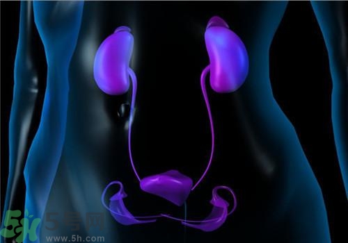 慢性腎炎能治好嗎？慢性腎炎能活多久？