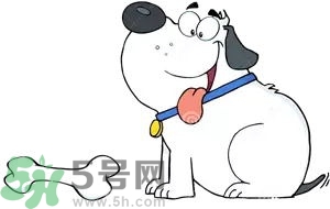 七夕單身狗怎么過？單身怎么過七夕？