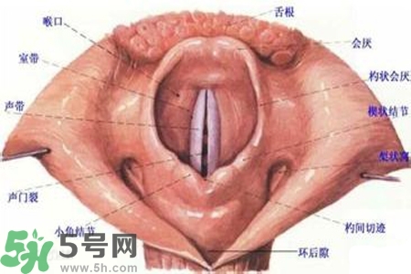 慢性咽炎的發(fā)病因素？慢性咽炎的并發(fā)癥有哪些？