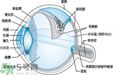 近視眼是什么？近視眼的癥狀有哪些？