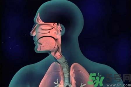 過敏性鼻炎的高發(fā)人群有哪些？如何預(yù)防過敏性鼻炎？