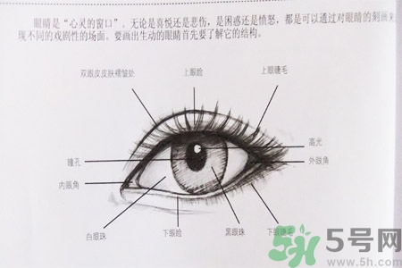 白內(nèi)障的發(fā)病因素是什么？白內(nèi)障并發(fā)癥有哪些？