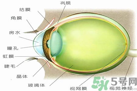 青光眼的治療方法有哪些？青光眼可以哪些藥物治療？