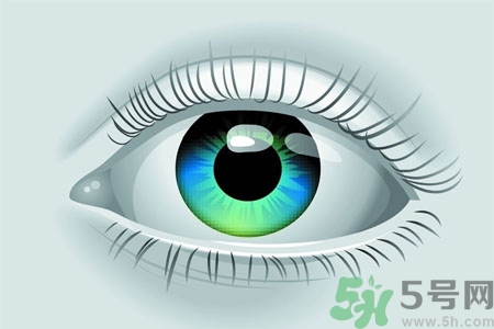 青光眼的高發(fā)人群有哪些？如何預(yù)防青光眼？