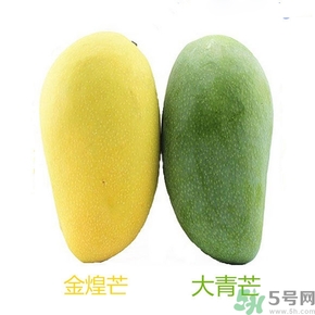 青芒和黃色芒果哪個好？青芒和黃色芒果的區(qū)別