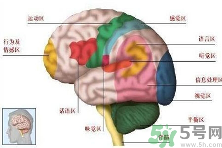 腦出血的高發(fā)人群有哪些？如何預(yù)防腦出血？