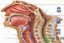 鼻咽癌的治療方法是什么？鼻咽癌可以用什么藥物治療？