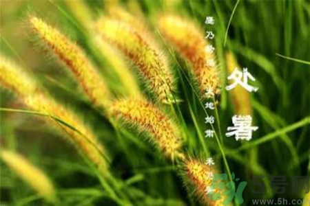 處暑出生的人怎么取名？處暑出生的人的命運(yùn)？