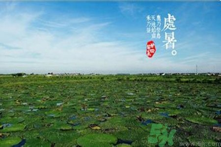 處暑出生的人怎么取名？處暑出生的人的命運？