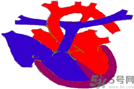 如何預(yù)防心臟?。啃呐K病的禁忌癥有哪些？