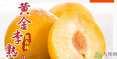 恐龍蛋水果怎么吃？恐龍蛋水果皮能吃嗎？