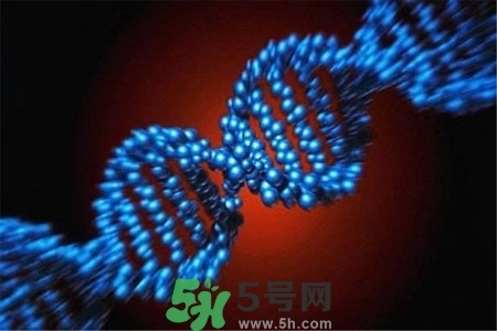 不宜過(guò)多食用辣椒的人群有哪些？夏天吃辣椒的好處有哪些？