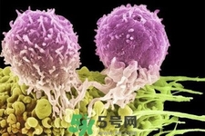 不宜過(guò)多食用辣椒的人群有哪些？夏天吃辣椒的好處有哪些？