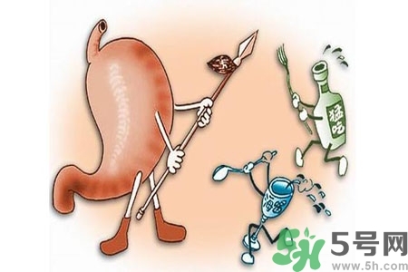 哪些食物幫你在酒后保養(yǎng)胃部？養(yǎng)胃護(hù)胃的誤區(qū)是什么？
