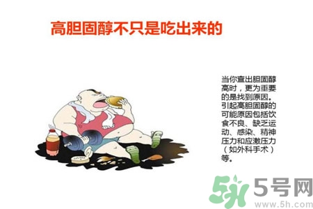 高膽固醇會(huì)影響胖瘦嗎？高膽固醇和胖瘦有關(guān)系嗎？