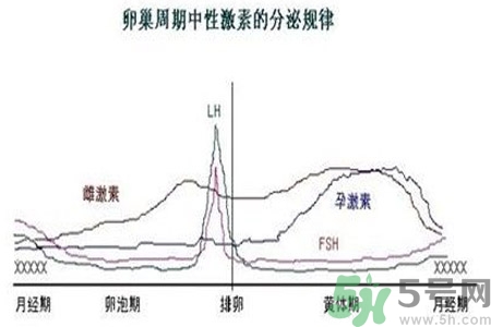 如何分清常見的激素藥？如何正確使用激素類藥物？