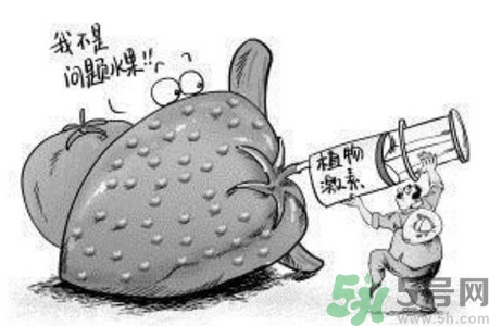 如何分清常見的激素藥？如何正確使用激素類藥物？