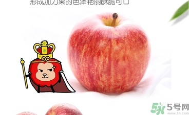 姬娜果是什么？姬娜果的功效作用