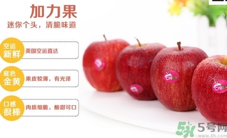 姬娜果是什么？姬娜果的功效作用