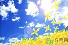 如何應(yīng)對(duì)秋老虎？秋老虎如何養(yǎng)生？