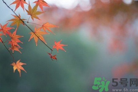 秋老虎如何謹(jǐn)防皮膚病？秋老虎如何預(yù)防皮膚??？