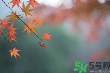 秋天換季病有哪些？秋天該如何保健養(yǎng)生呢？