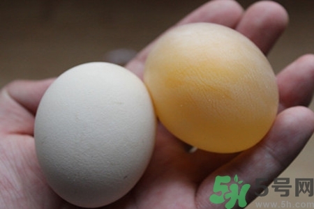 醋泡雞蛋可以治病嗎？醋泡雞蛋的做法是什么？