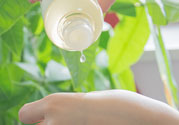 春雨水乳適合人群 春雨水乳孕婦可以用嗎？