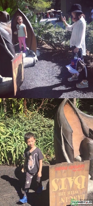 王寶強(qiáng)老婆馬蓉在美國嗎？婚姻中攜款逃跑受什么處罰？