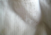 衣服長黑點怎么洗掉？衣服上長霉點怎么去除？