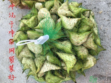 菱角和豬肉能一起吃嗎？菱角和什么不能一起吃？