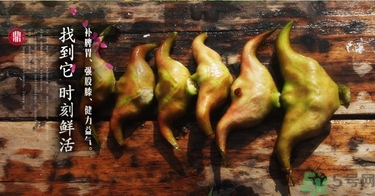 菱角和豬肉能一起吃嗎？菱角和什么不能一起吃？
