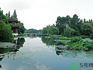 菱角是什么？菱角是什么季節(jié)成熟的？