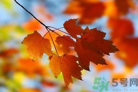 女性秋季防燥需注意哪些？女性秋季防燥吃什么？