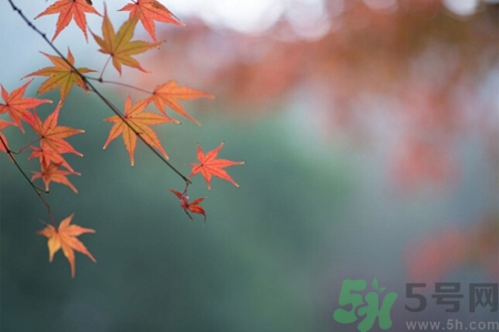 秋季如何預防去燥防風？秋天防燥可以吃什么食物？