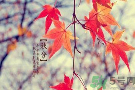 立秋潤肺可以吃什么食物？秋天潤肺可以吃的水果有哪些？