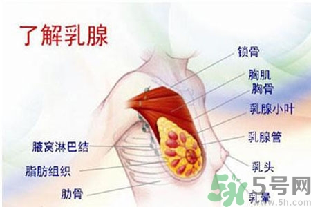 如何按摩讓乳頭變紅？讓乳頭變紅的方法？