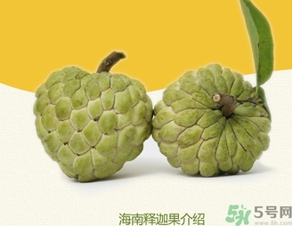 釋迦果怎么吃？釋迦的營(yíng)養(yǎng)價(jià)值功效作用