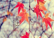 秋燥的表現(xiàn)是什么？小孩如何預(yù)防秋燥？